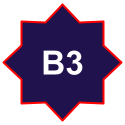ranking-badge